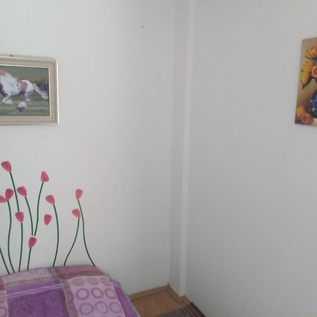 Hostel Trajan Donji Milanovac Exteriör bild