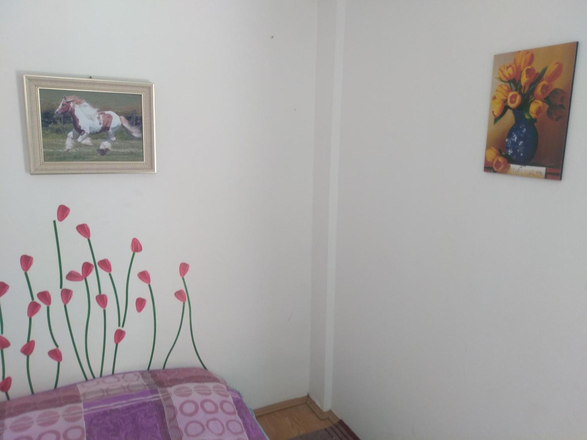 Hostel Trajan Donji Milanovac Exteriör bild